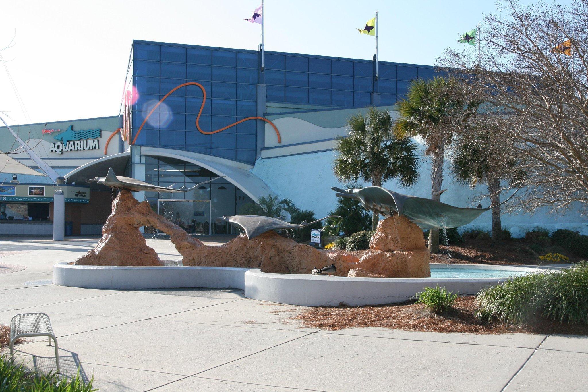 Hampton Inn Myrtle Beach West Socastee Ανέσεις φωτογραφία